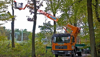 Baumpflegearbeiten mit Arbeitsbühne