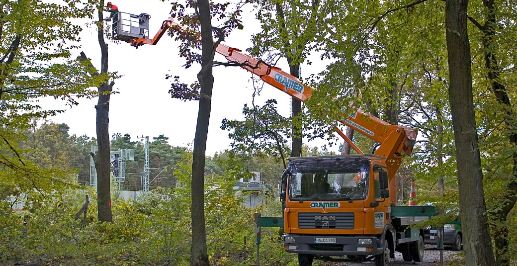 Lkw-Arbeitsbuehne-Baumschnitt