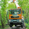 T 33 KA tree care