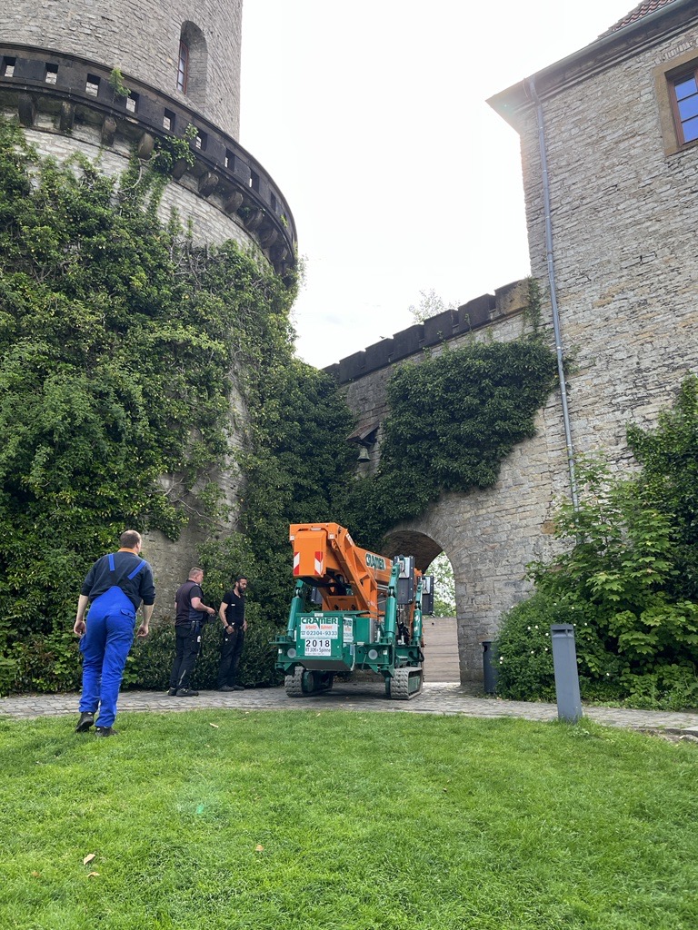 Burg Spinnen-Arbeitsbühne RT 30 K+