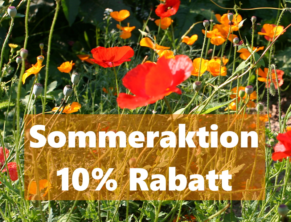 Sommeraktion 10% Rabatt auf Schulungen