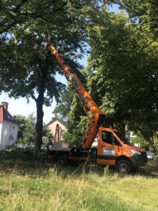 LKW-Arbeitsbühne T 26 BK Baumschnitt