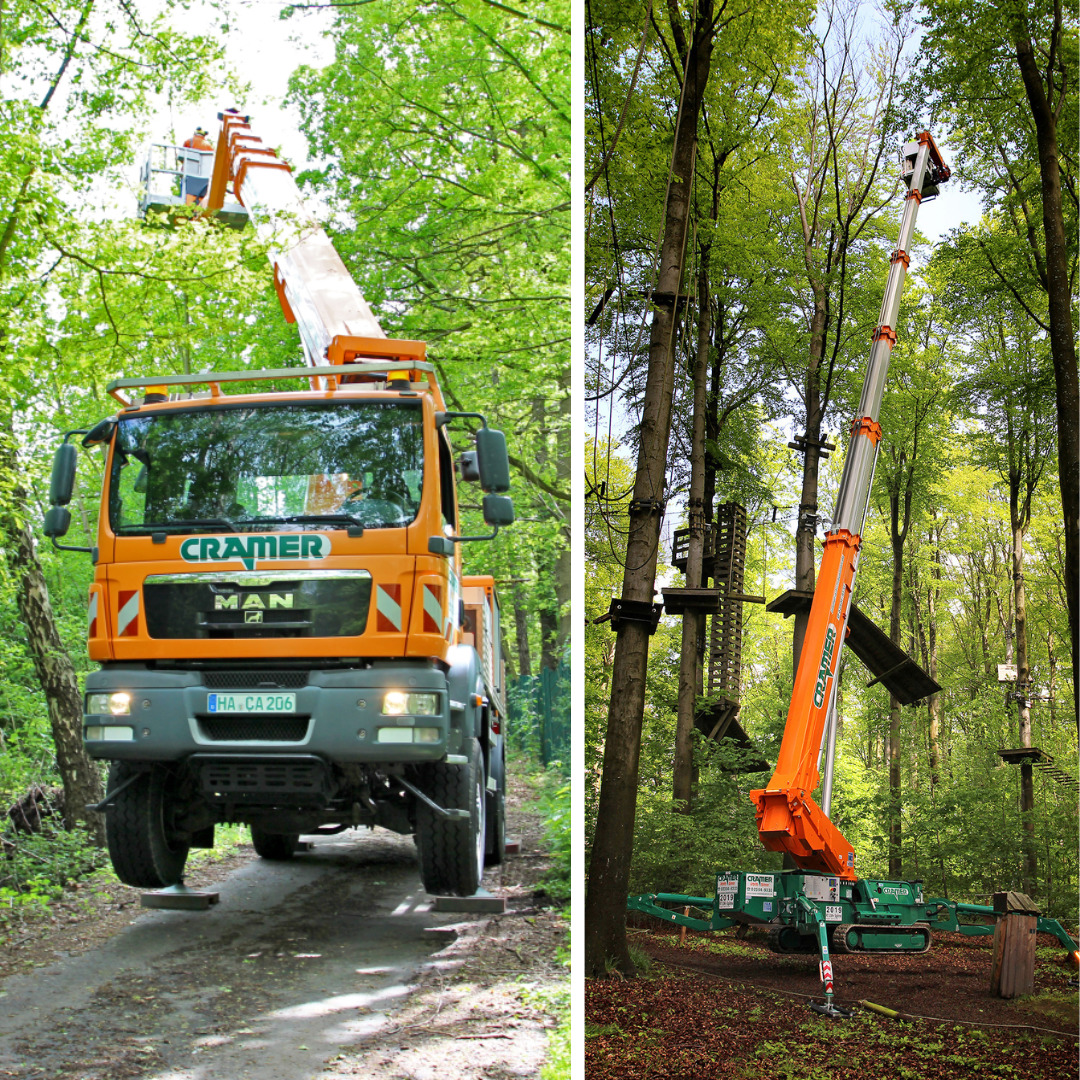 Post image tree pruning season